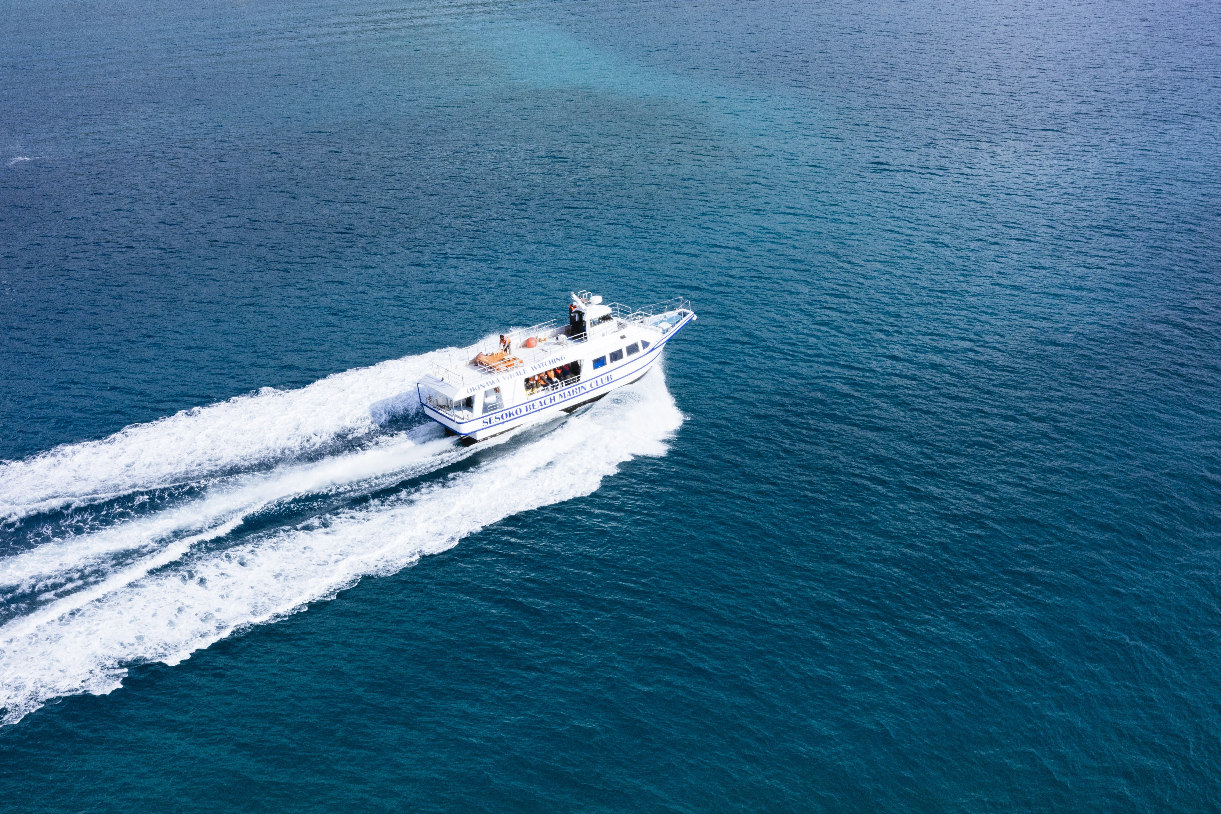 沖縄の美しい海を走る高速船