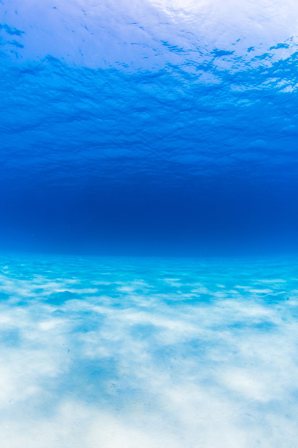 慶良間諸島の美しい海（イメージ）