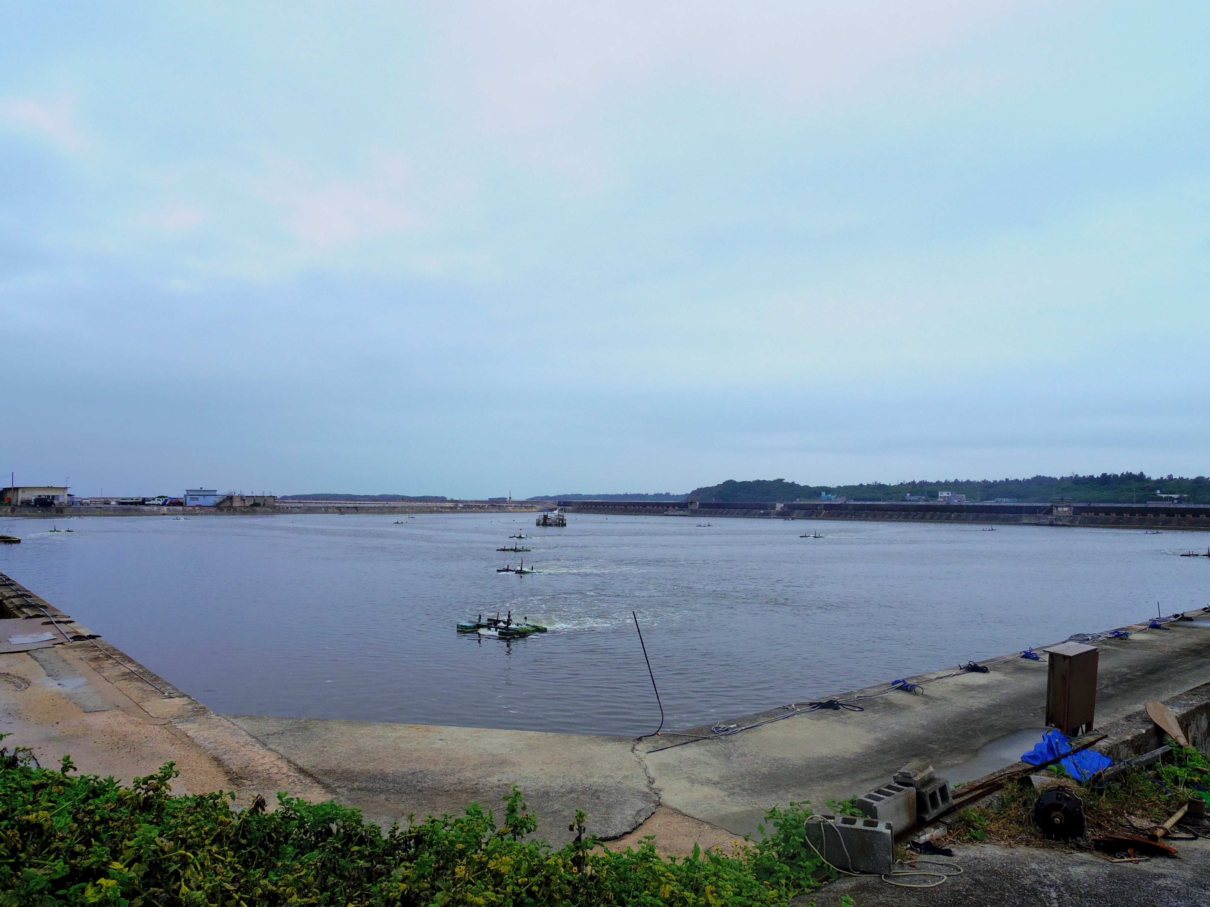 久米島の車海老養殖場の広大な養殖池