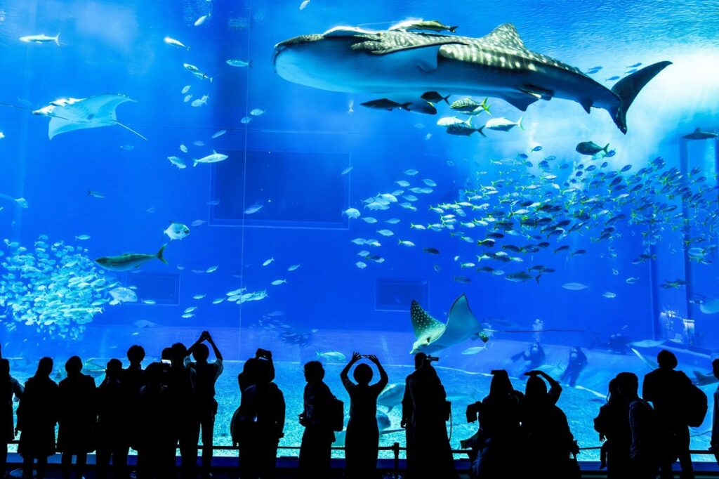 沖縄本部エリアの風景（イメージ）