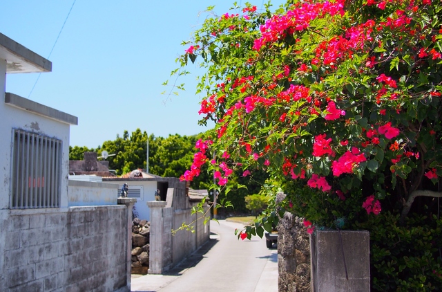 久高島集落の風景(イメージ)