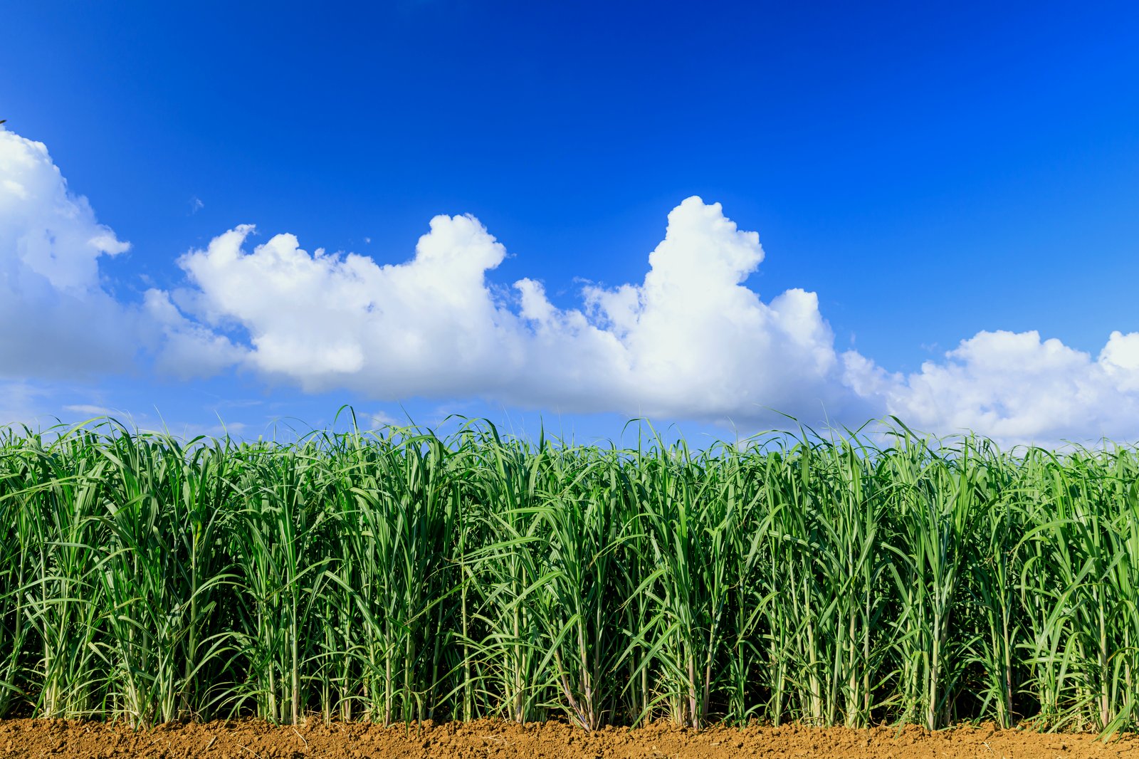悪天候時の港（イメージ）