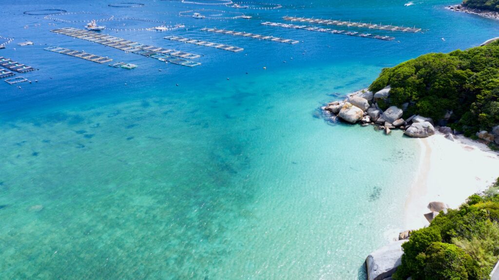 沖縄の漁港（イメージ）