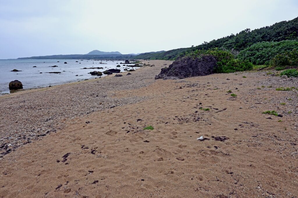 石垣島の景観（イメージ）