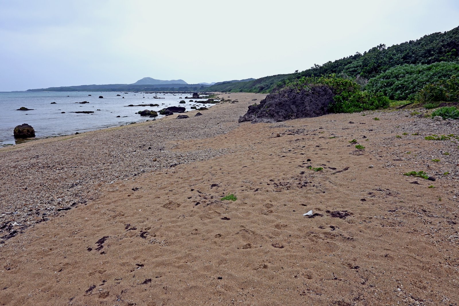 石垣島の景観（イメージ）