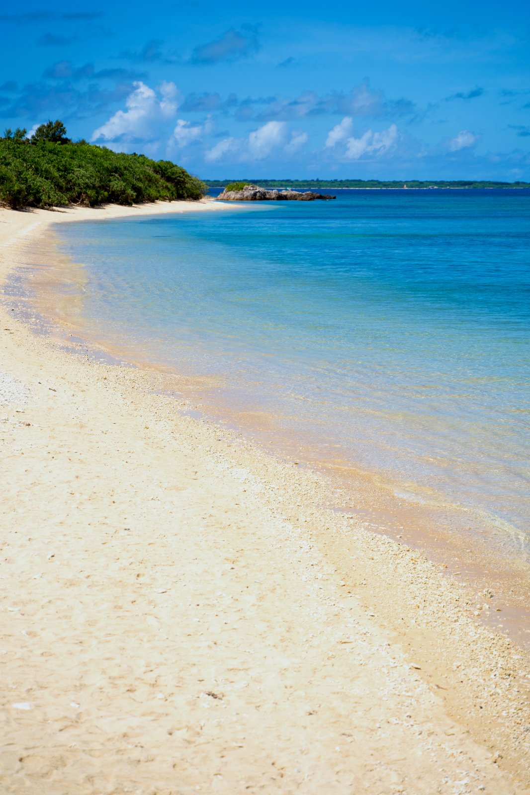 石垣島の景観（イメージ）