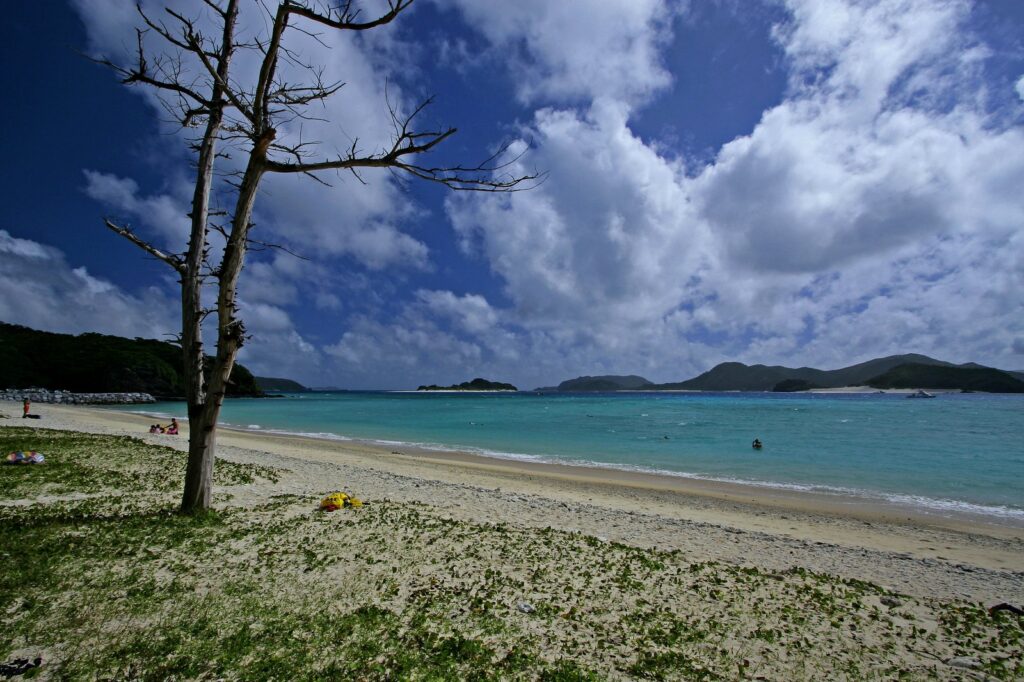 慶良間諸島の海（イメージ）