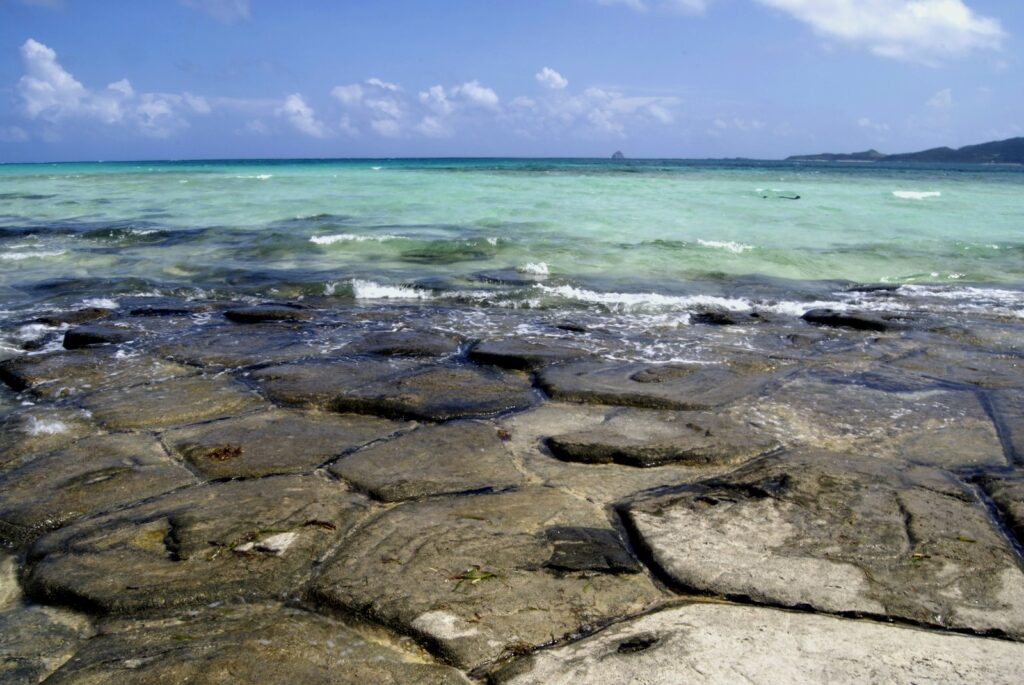 久米島の景観（イメージ）