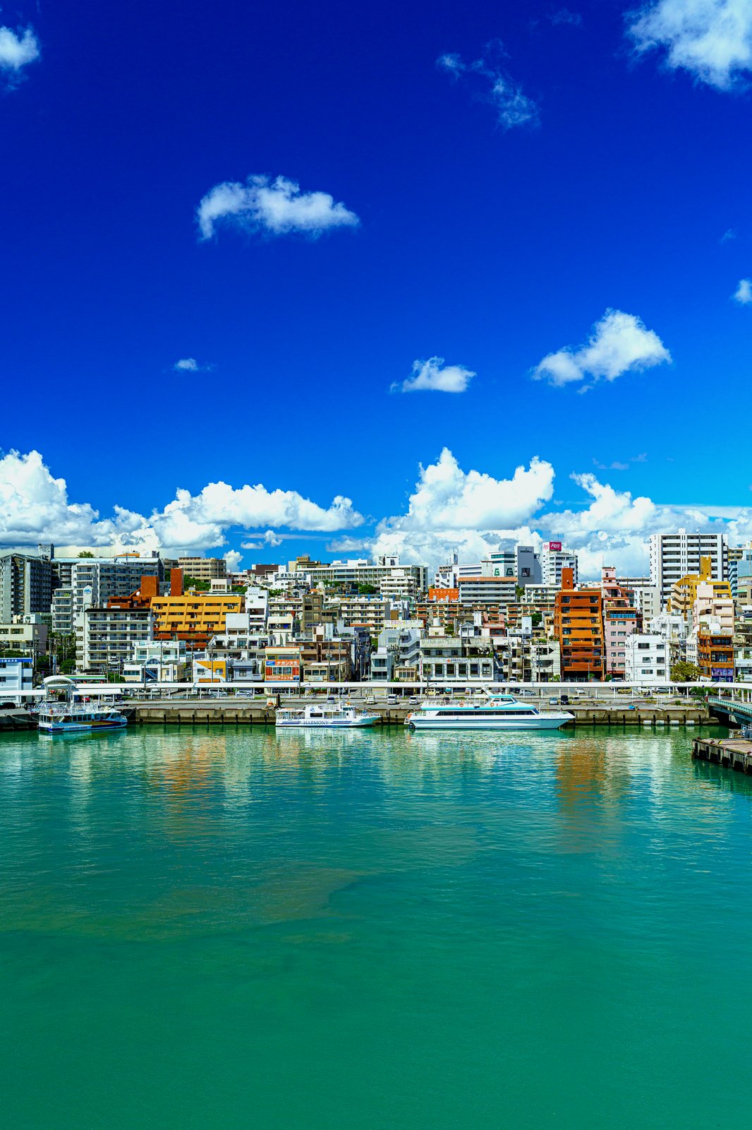 欠航判断のタイミング