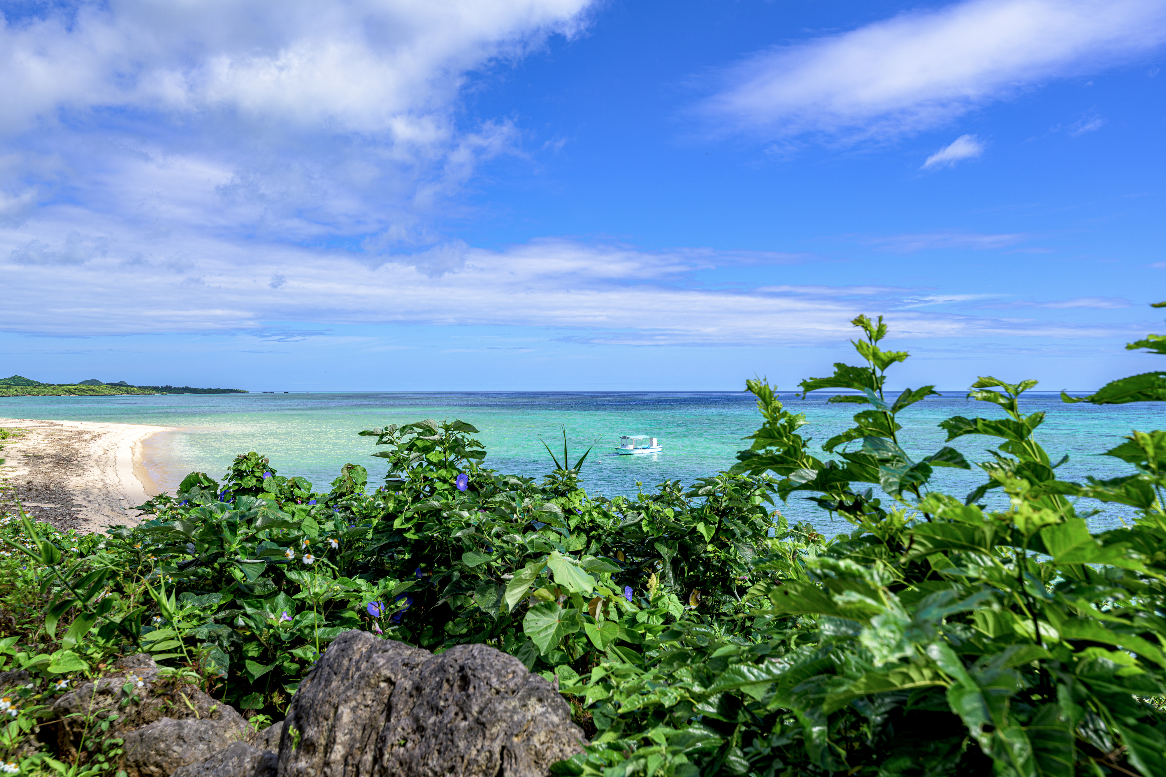 那覇港・沖縄離島（イメージ）