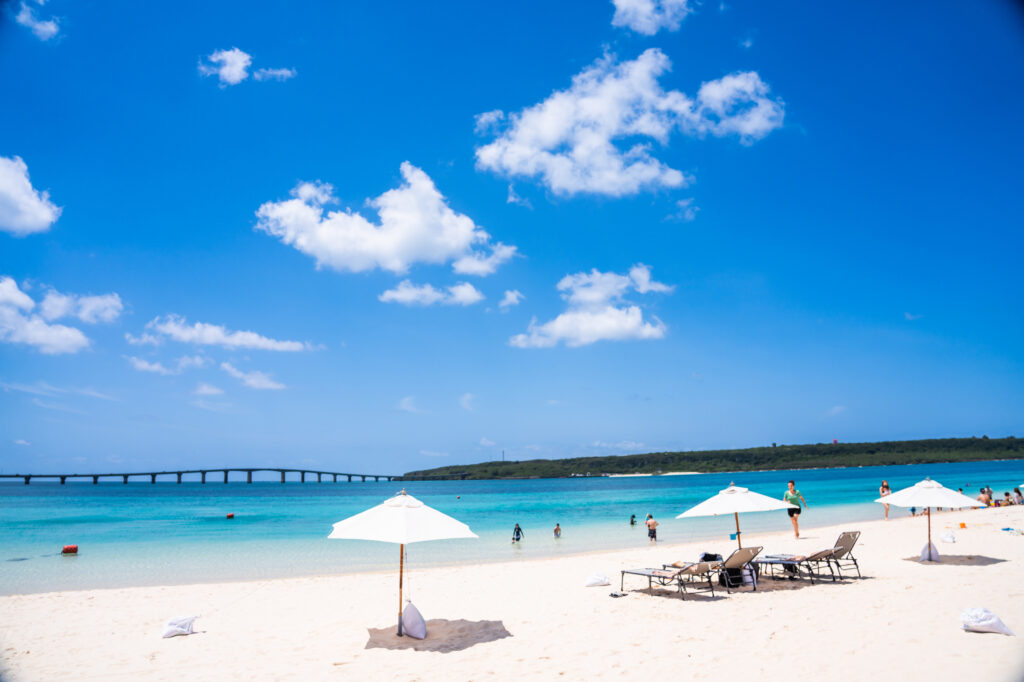 伊豆大島（イメージ）