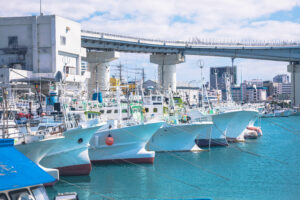 本部港・やんばる（イメージ）
