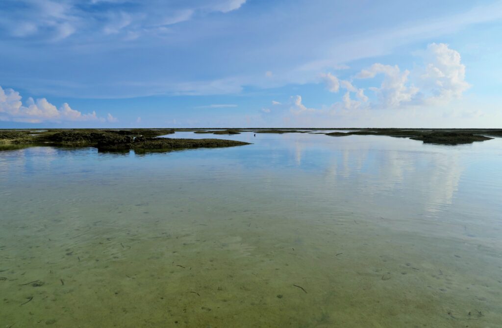 久米島の海・KOJ再開（イメージ）