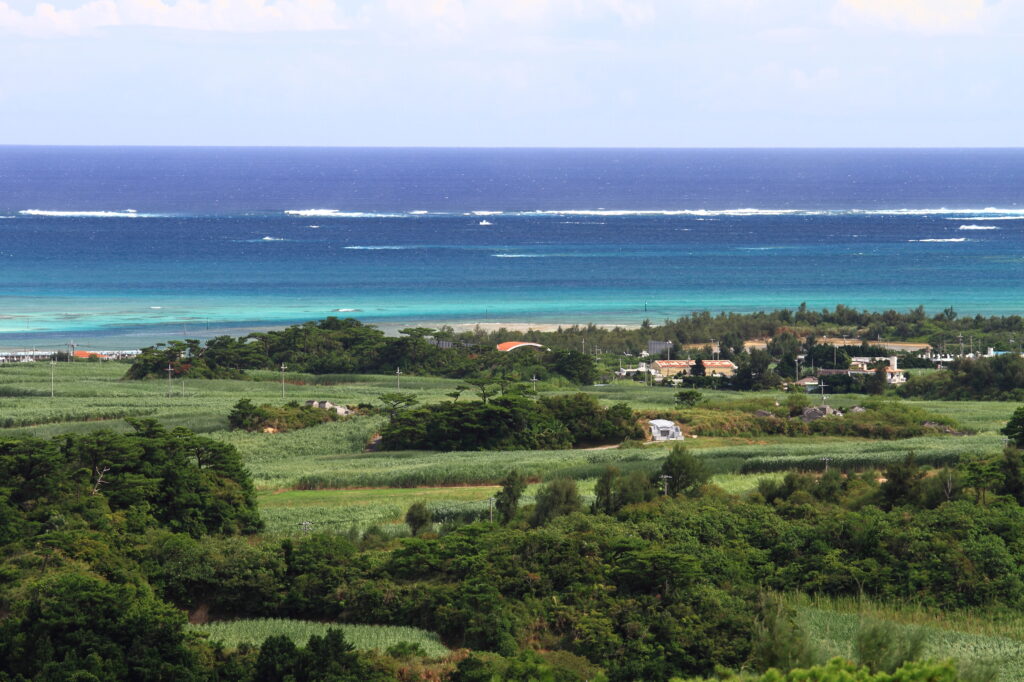 奄美大島（イメージ）