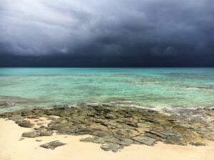 沖縄本部の海（イメージ）