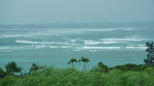 荒波の海と強風にあおられる海岸（イメージ）